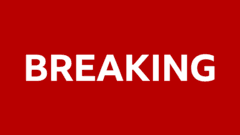 Passengers held on cruise ship in France after gastroenteritis outbreak