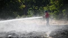 Warning of record global temperatures as chance of very strong El Niño grows