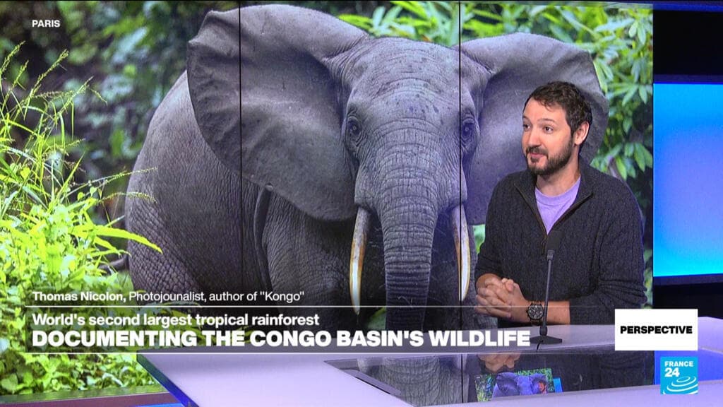 'Every time I'm in the forest, I'm like a little kid': Photographer Thomas Nicolon